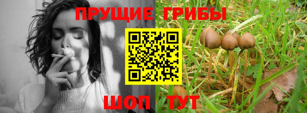 Псилоцибиновые грибы Psilocybine cubensis  Вход с VPN  Воткинск 